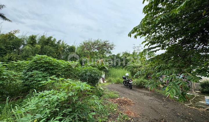 Parung Tanah Untuk Perumahan Cluster Dekat Ciplaz Ramayana