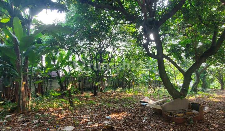 Cinere gandul pln tanah luas 3300 akses 1 mbl harga murah