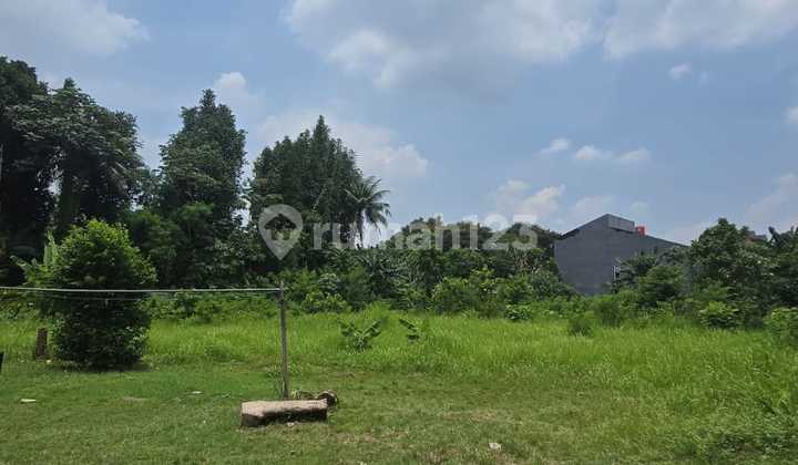 Ready-to-Build Large Land in Jagakarsa, Suitable for Townhouse 5.5 Million/m²