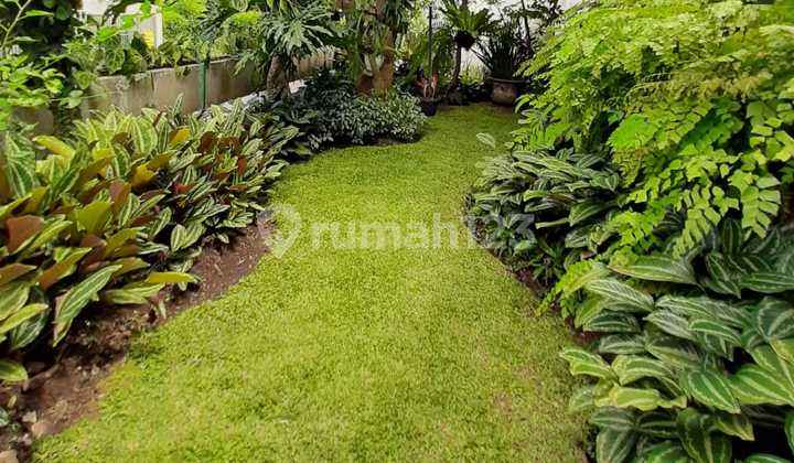 Rumah dengan Halaman Luas di Bintaro Jaksel - Harga Nego