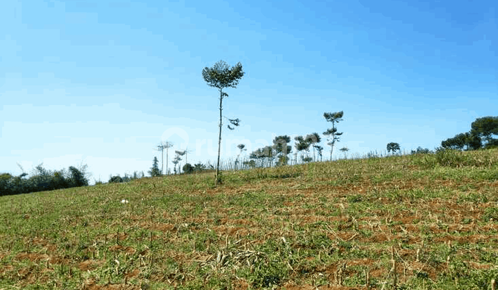 Dijual Tanah Lokasi Strategis Siap Bangun di Arjasari Bandung Dijual Tanah Lokasi Strategis Siap Bangun di Arjasari Bandung