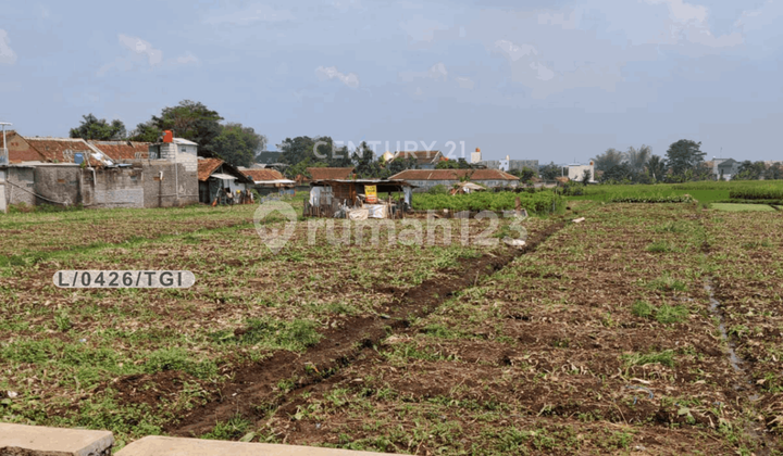 Dijual Tanah Sawah Kering Luas di Ranca Mekar Cangkuang Bandung Dijual Tanah Sawah Kering Luas di Ranca Mekar Cangkuang Bandung