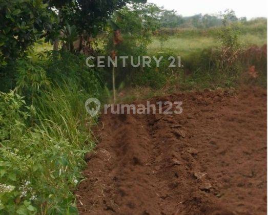 TANAH 7 HEKTAR DI CURUG SERANG COCOK UNTUK PERUMAHAN 2