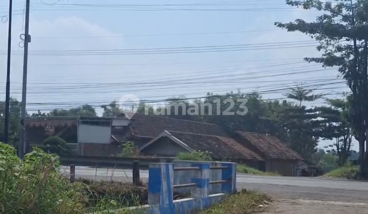 Tanah Mandurono Ngoro Mojokerto SHM 2109m2 Ngantong Nol Jalan Raya Gempol - Mojokerto Murah Tanah Mandurono Ngoro Mojokerto SHM 2109m2 Ngantong Nol Jalan Raya Gempol - Mojokerto Murah