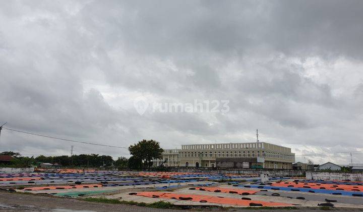 Nol Jalan Pantura Beli Gudang Bonus Tanah Luas Gembong Lamongan 2