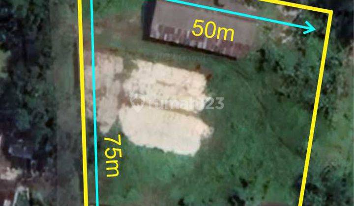 Nol Jalan Kabupaten Tanah Ex Pabrik Beras 3500m2 Kedungmoro Kunir Lumajang Kota 1