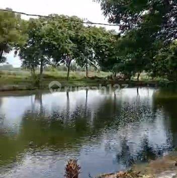Passive Income Ready Jual Resto Pemancingan Aktif 5.8ha Candi Sidoarjo Ramai Banyak Pengunjung 11