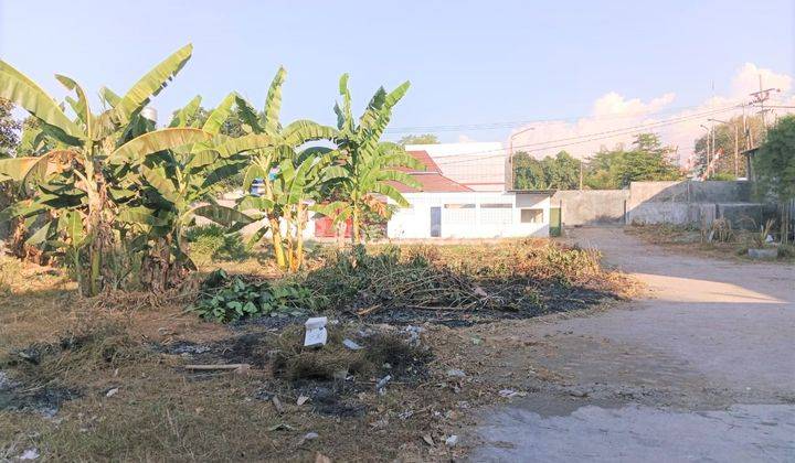 10 Meter Dari Raya Bypass Pandaan Gudang Siap Pakai Karangjati Pandaan Lt1850 Lantai Gudang Sdh Coating Siap Cari Cuan 2