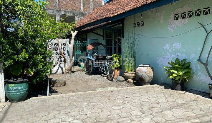 Cocok Dibangun Kost Exclusive Rumah Lama Tanah Luas Dinoyo Surabaya 449m2 Dkt Uwm Kpp Dinoyo Butuh Uang Puool 1