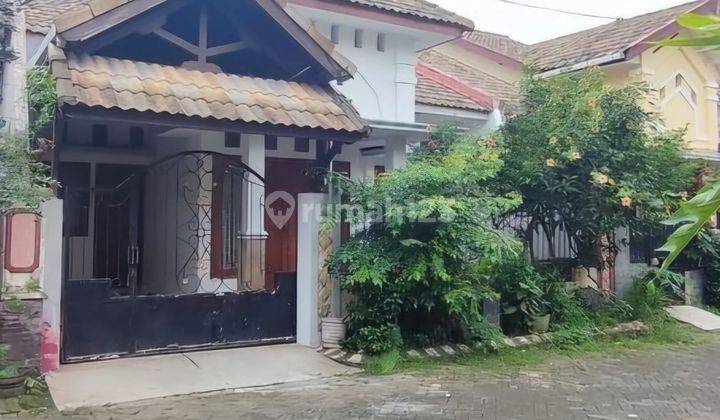 5 Menit Ke Unibraw Suhat Rumah Siap Huni Bunga Sepatu Lowokwaru Malang Kota Sudah Renov SHM Harga Bu 1