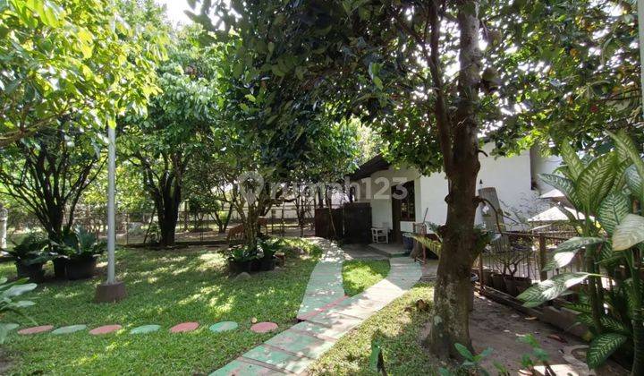 Flash Sale Harga Turun 13 M Sangat Langka Rumah Pusat Utama Kota Blitar Area Prestis 2