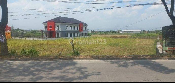 Tanah Murah di Raya Pati Kudus Jateng, Lokasi Nol Jalan Propinsi 1