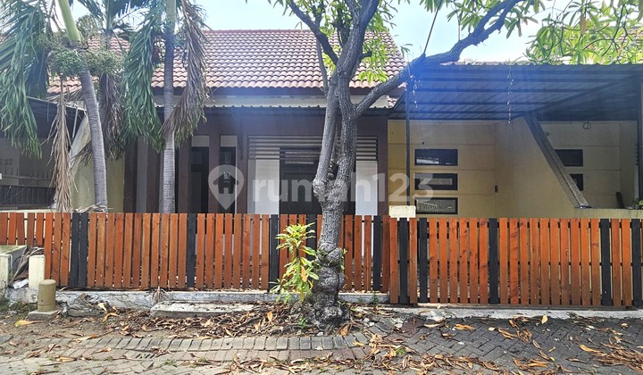 NEAR POLDA, TELKOM, UNESA FOR RENT: Palm Spring House in Jambangan, Surabaya, Ready to Occupy, Flood-Free, 45 Million/Year Negotiable.