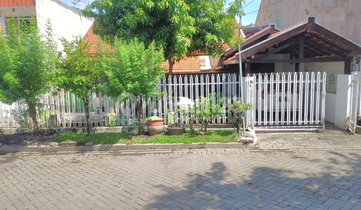 Investor Alert - Tanah 300M² Dekat Petra Hitung Tanah Cuma 7Jtan/M² !!