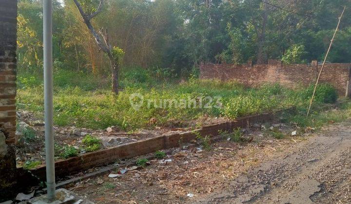 Dekat Terminal Tanah Murah di Sidomulyo Madiun 2