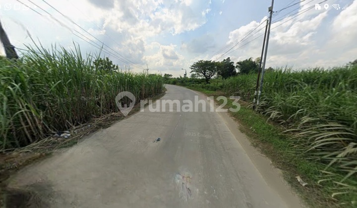 Tanah Industri Raya Sidorejo Jetis Mojokerto 3700m2 Lebar Depan 100m SHM Jalan Beton Flash Sale Tanah Industri Raya Sidorejo Jetis Mojokerto 3700m2 Lebar Depan 100m SHM Jalan Beton Flash Sale
