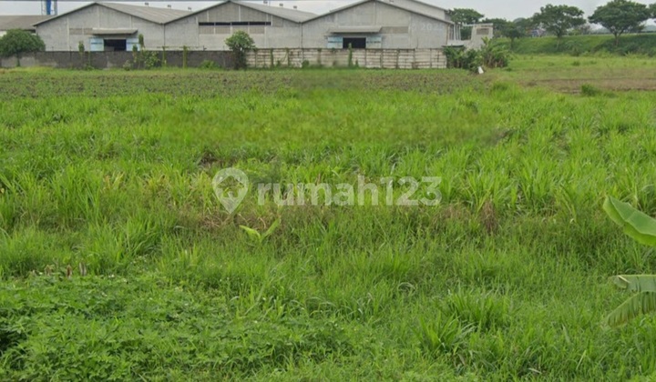 Tanah Industri Raya Sidorejo Jetis Mojokerto 3700m2 Lebar Depan 100m SHM Jalan Beton Flash Sale Tanah Industri Raya Sidorejo Jetis Mojokerto 3700m2 Lebar Depan 100m SHM Jalan Beton Flash Sale