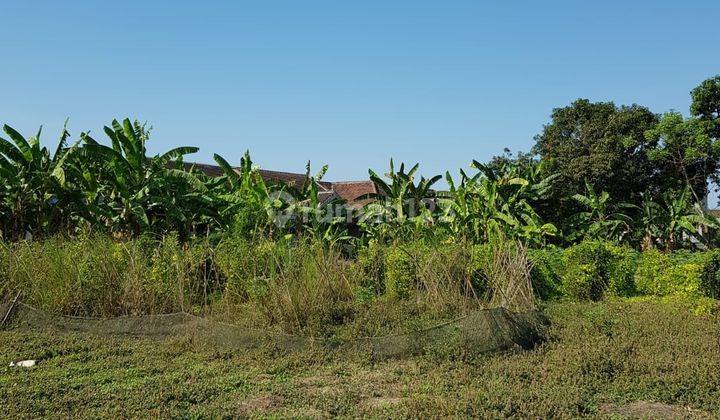 Tanah Siap Bangun Jabon Sidoarjo 3600m2 Lebar Dpn 35m Cocok Utk Perumahan Kavlingan 5 Menit Dari Tol 2