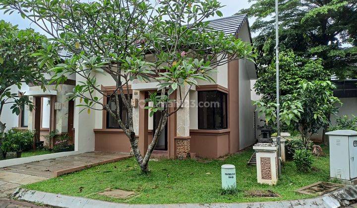 Rumah 1 lantai suasana seperti villa dan asri shm dan baru SHM Baru 1