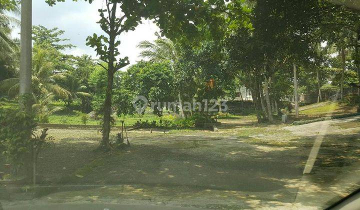 Jual Rumah + Tanah Luas 23.000m Raya Pandeglang Serang Banten 2