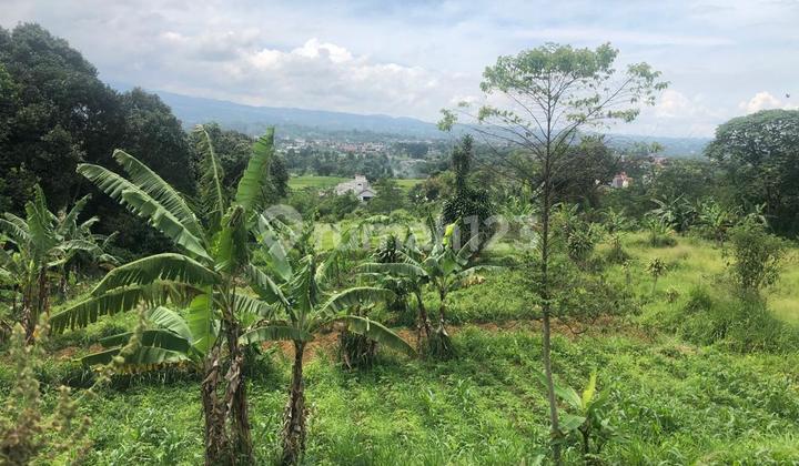 Jual Pabrik Dan Gudang Strategis Luas 70000m2 Di Bogor Jawa Barat 5