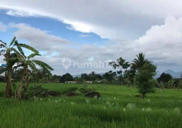 Jual Tanah Bagus Luas 1,5 Ha Di Cijeruk Bogor Jawa Barat 1