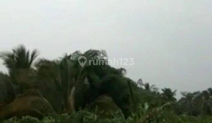 Dijual Cepat Murah Nego Tanah Di Tenjo Bisa Untuk Perumahan Pemakaman DLL 2