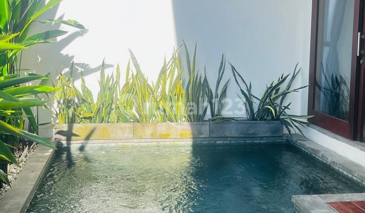 Villa For Rent 3 Bedrooms Dibatur Sari,Sanur Area