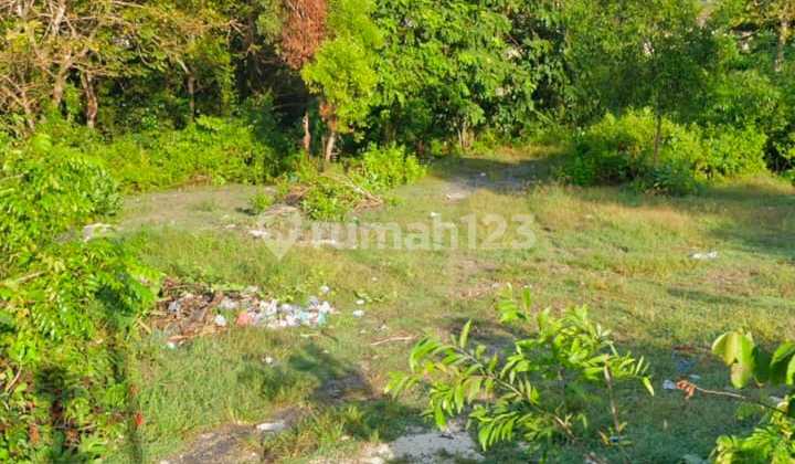 Land For Rent 17,7 Are At Kutu,Near Panda Beach
