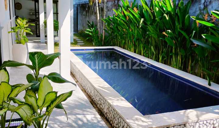 Villa For Rent (disewakan Vila)2 Br At Padonan,canggu 2