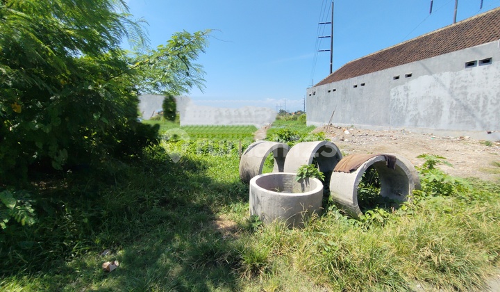 Land For Rent,1,5 At Sanur Area Near Mertasari Beach At Danau Tempe ,sanur