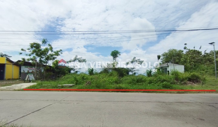 Tanah Pekarangan Cocok Untuk Perumahan