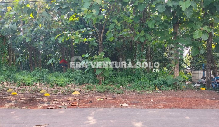 Strategic Land Ready to Build in Karanggeneng, Boyolali