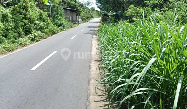 Strategic Dryland in Mojogedang, Karanganyar