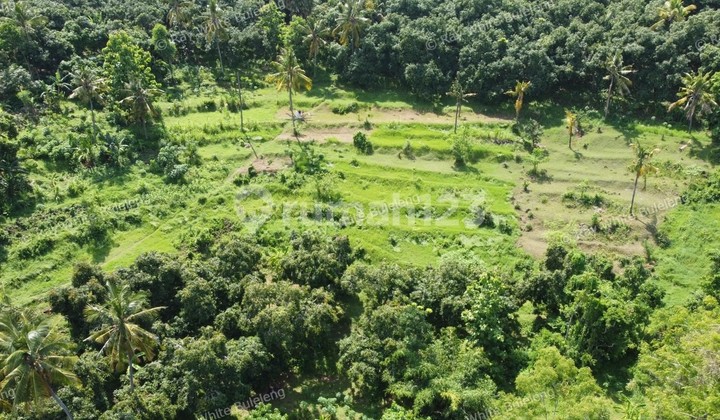 A STUNNING LAND IN LOVINA AREA