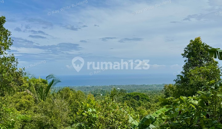 BALI'S HIDDEN GEM - OCEAN & HILL VIEW LAND NEAR LOVINA