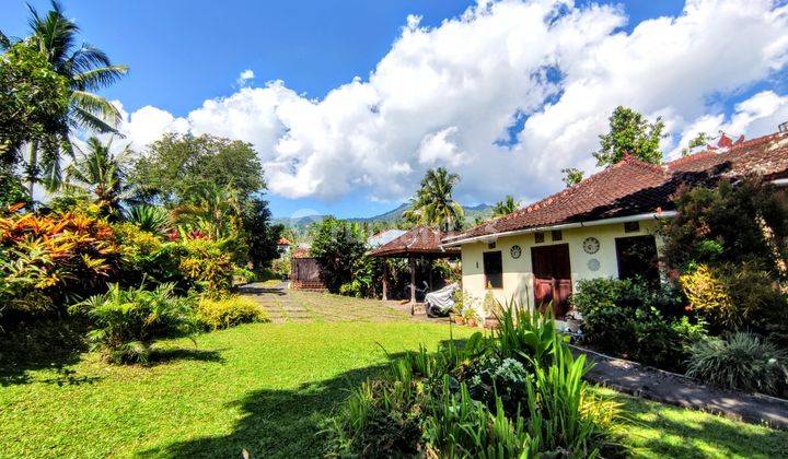 FREEHOLD TWO BEDROOMS HOUSE IN NORTH BALI 2