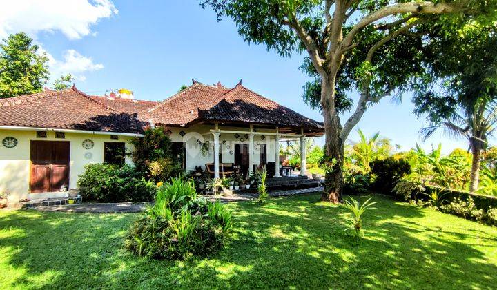 FREEHOLD TWO BEDROOMS HOUSE IN NORTH BALI 1