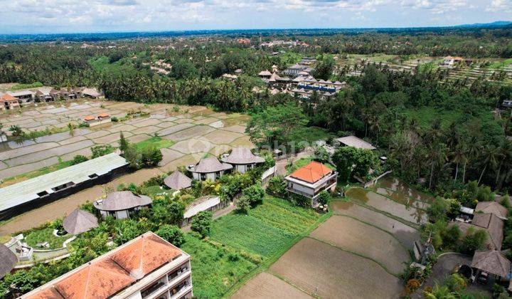 4 PLOTS OF LAND  IN UBUD - GIANYAR 1