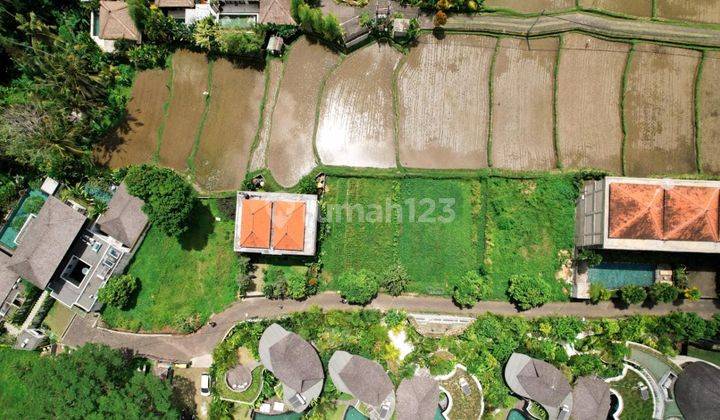 4 PLOTS OF LAND  IN UBUD - GIANYAR 2