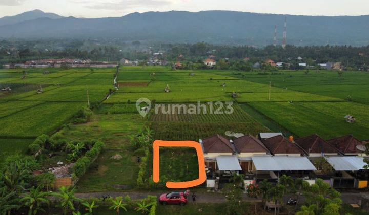 FREEHOLD LAND  IN LOVINA AREA WITH RICE FIELD AND MOUNTAIN VIEWS 1