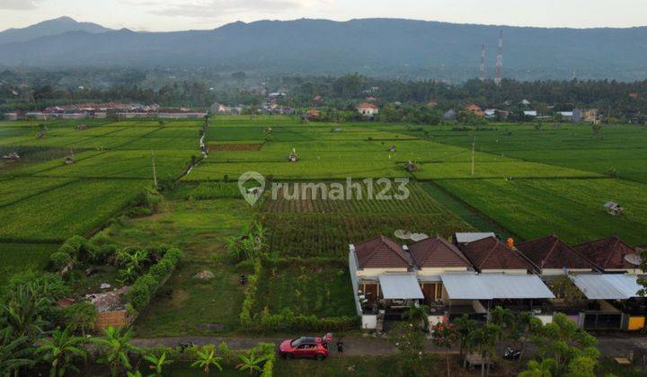 FREEHOLD LAND  IN LOVINA AREA WITH RICE FIELD AND MOUNTAIN VIEWS 2