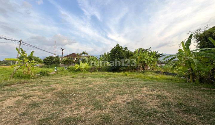 RARE LAND  IN CENTRAL LOVINA JUST 100 METERS FROM THE BEACH 2