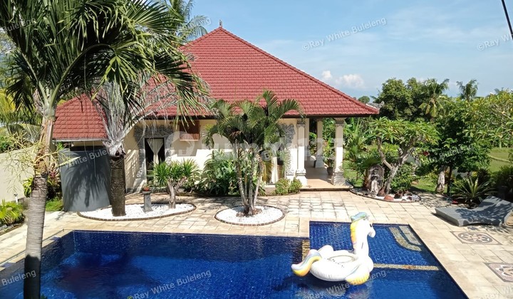 HILLSIDE VILLA IN PANJI WITH GUEST HOUSES AND BEAUTIFUL VIEW HILLSIDE VILLA IN PANJI WITH GUEST HOUSES AND BEAUTIFUL VIEW