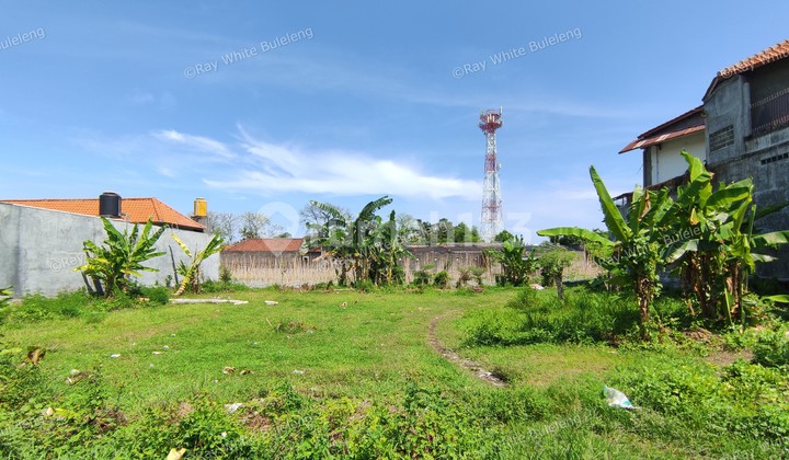 STRATEGIC LOCATION FREEHOLD LAND FOR SALE IN LOVINA STRATEGIC LOCATION FREEHOLD LAND FOR SALE IN LOVINA