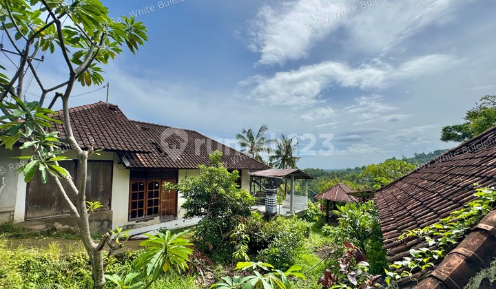 12-ARE LAND WITH STUNNING OCEAN AND HILL VIEWS NEAR LOVINA 12-ARE LAND WITH STUNNING OCEAN AND HILL VIEWS NEAR LOVINA