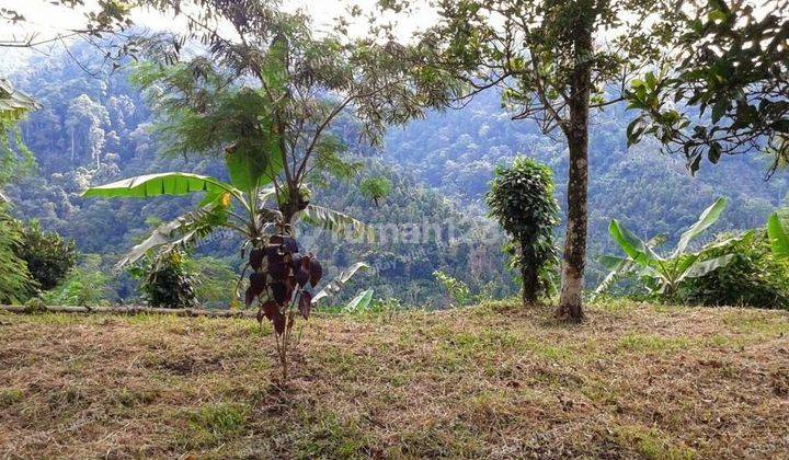 CHEAP LAND FOR SALE IN BUSUNGBIU 1