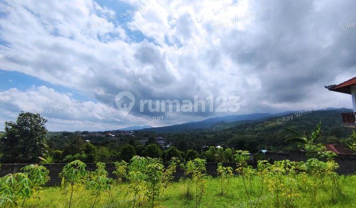 740 SQM FREEHOLD LAND IN LOVINA 740 SQM FREEHOLD LAND IN LOVINA