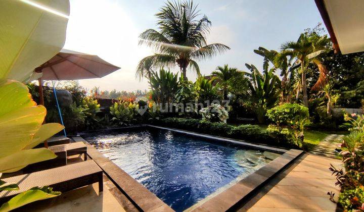 STUNNING 3 BEDROOMS VILLA LOCATED IN LOVINA CENTRAL 1