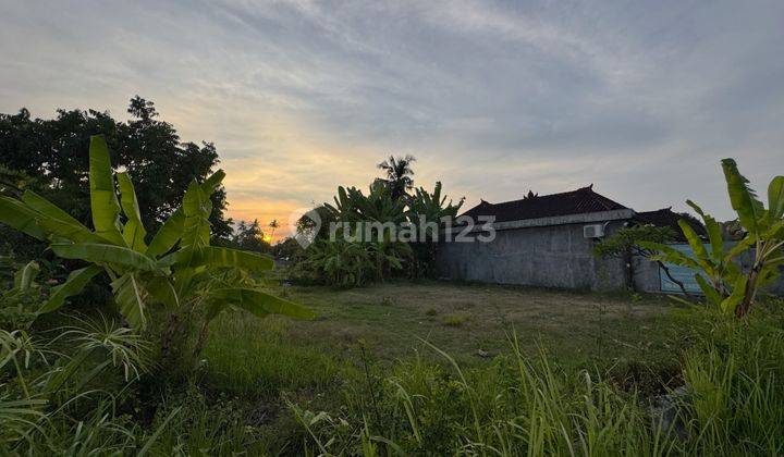 RARE LAND IN CENTRAL LOVINA JUST 100 METERS FROM THE BEACH 2